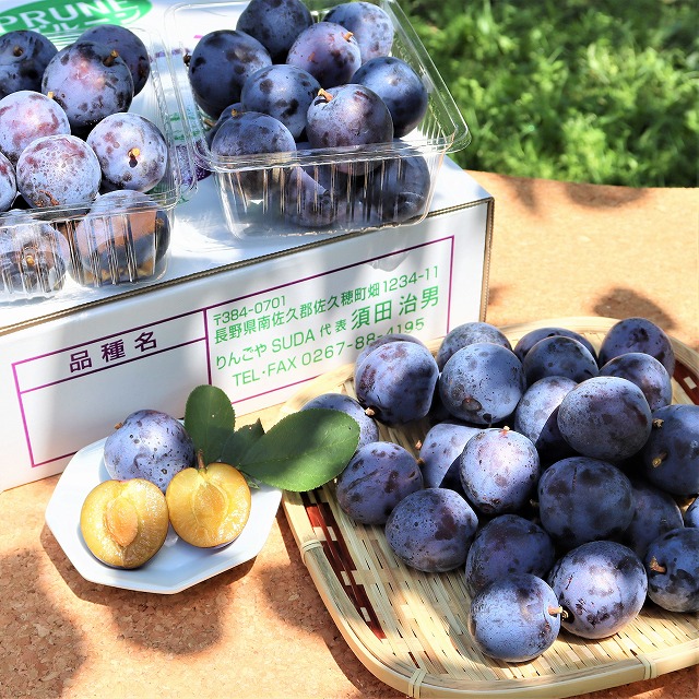 183 長野県産プルーン アーリーリバー 2キロ 果物